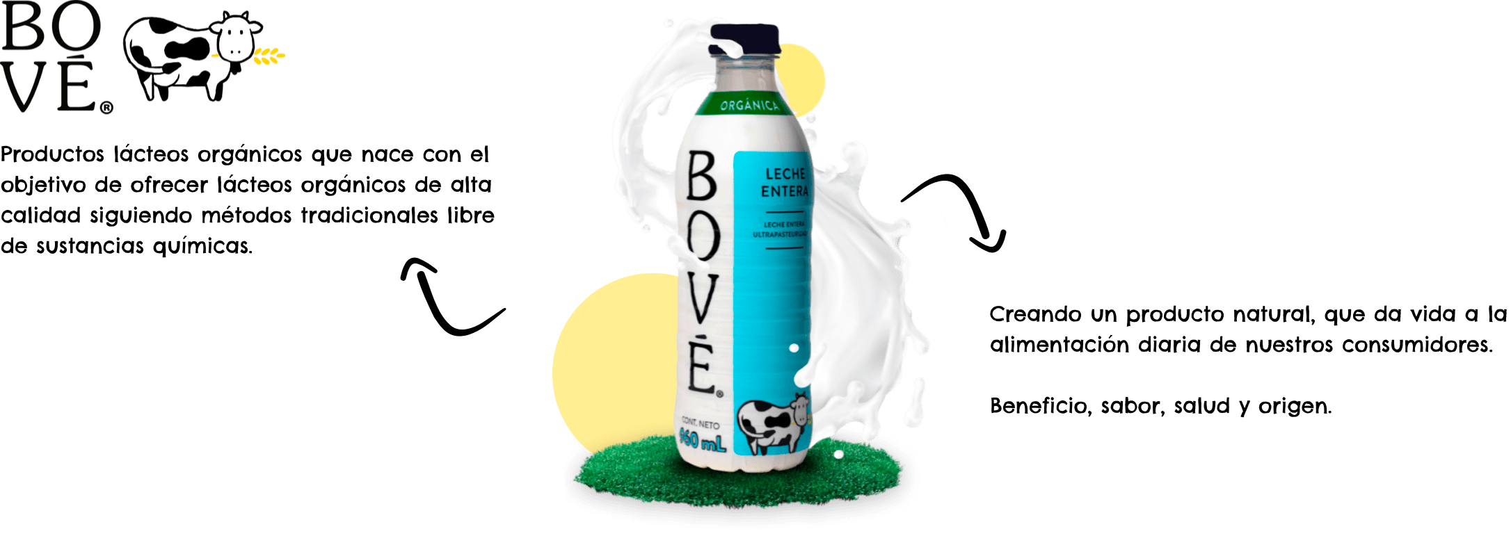 Bové productos lácteos orgánicos