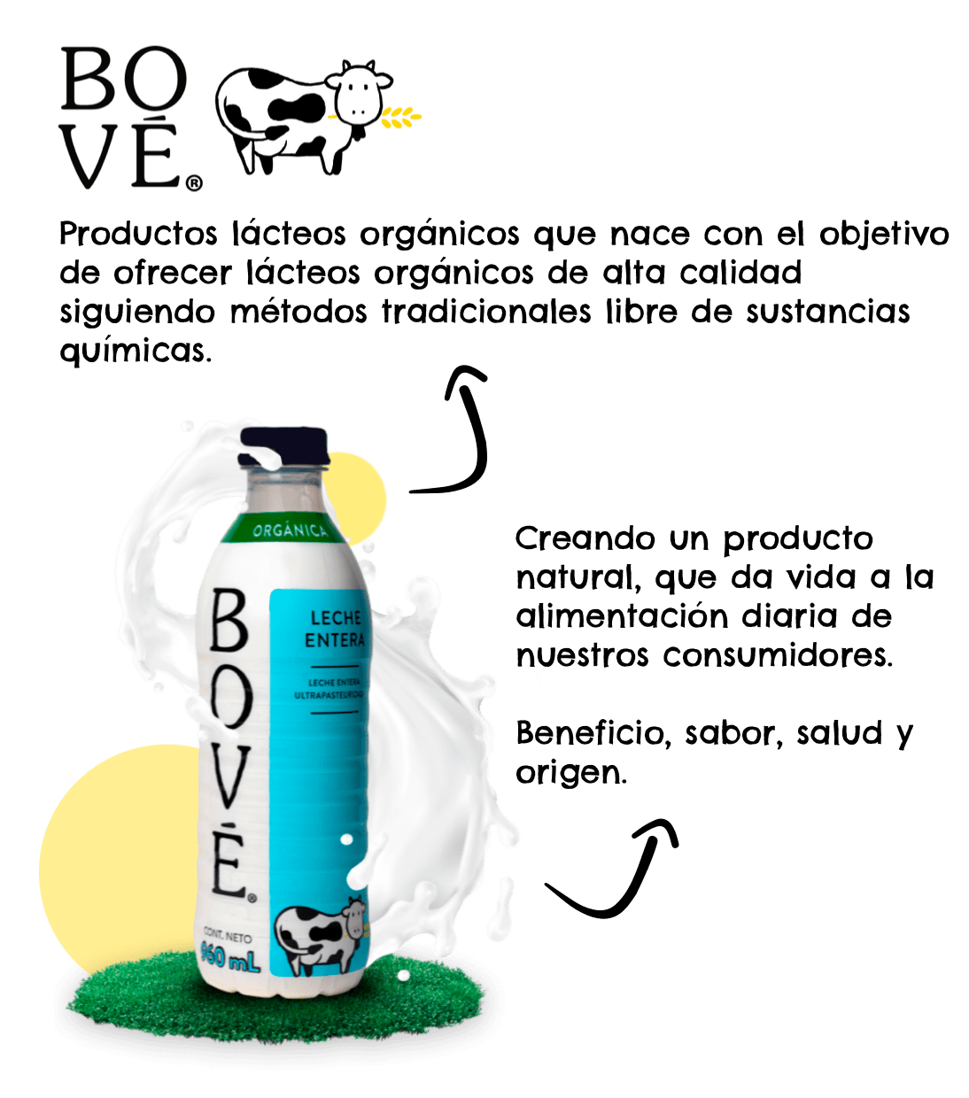 Bové productos lácteos orgánicos